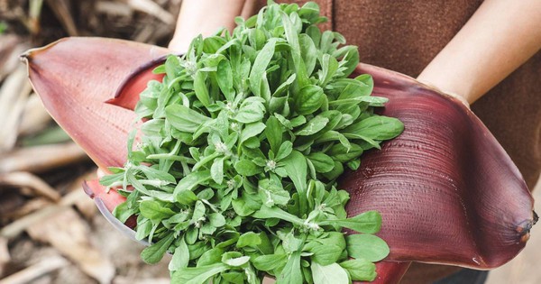 Avatar1769332770502 176933277082718332384