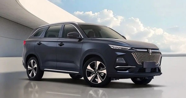 Avatar1769396737848 1769396738444430799815 0 0 472 900 Crop 17693967590361137416949