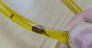 Avatar1769407446455 1769407447129111416038