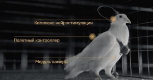 Avatar1769410889555 17694108918691570562998 0 0 314 600 Crop 1769410915647169389494