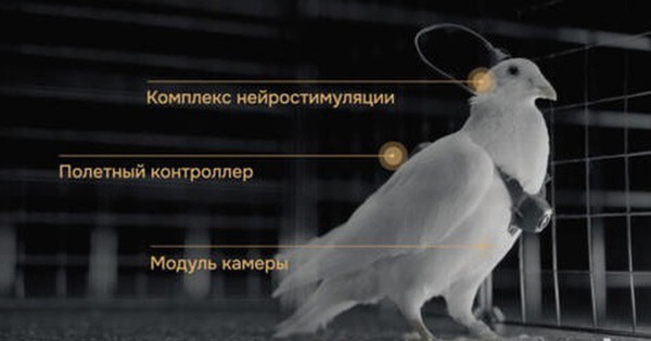 Avatar1769410889555 17694108918691570562998 0 0 314 600 Crop 1769410915647169389494