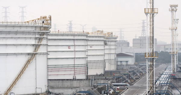 Avatar1769437950087 17694379504623555474 0 0 639 1220 Crop 1769438026650836208237