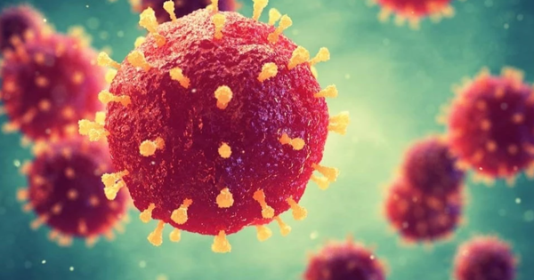 Avatar1769479123607 1769479124262856415041