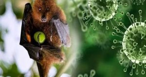 Avatar1769484651354 1769484651642725704697