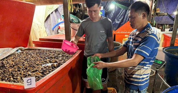 Avatar1769492490061 17694924905521053006019