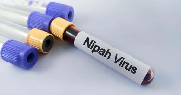 Avatar1769496858914 17694968592431553204890 0 0 314 600 Crop 17694969046922138290019