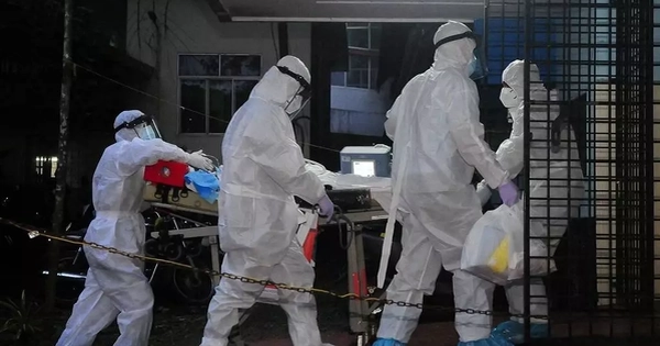 Avatar1769496881193 1769496881462534854953.Webp