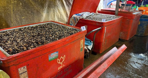 Avatar1769496945641 17694969460711019180699