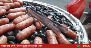 Avatar1769504319393 17695043202411698609501