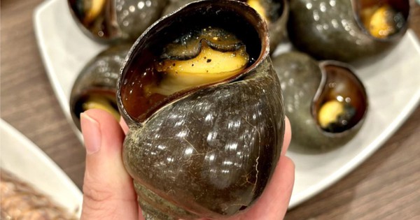 Avatar1769562424121 17695624247701369066163