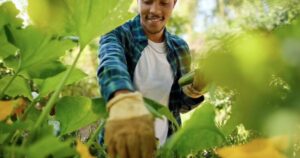 Avatar1769569016567 17695690169271284067661