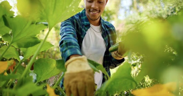 Avatar1769569016567 17695690169271284067661