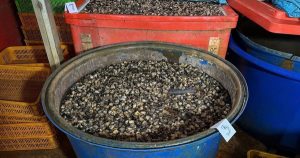 Avatar1769570143248 17695701441511417867447 76 0 720 1230 Crop 17695701833742003900607