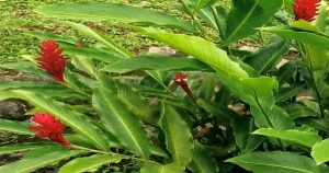 Avatar1769575017037 17695750175791601506963.Webp