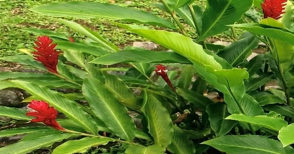 Avatar1769575017037 17695750175791601506963.Webp