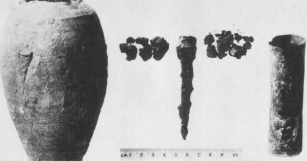 Avatar1769587547895 17695875481401982971663