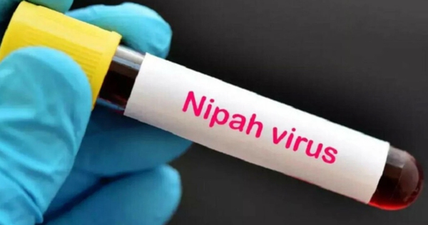 Avatar1769589006535 17695890070331191166218