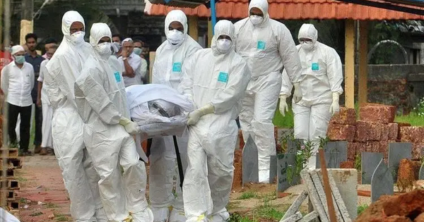 Avatar1769603843952 1769603844940196091097