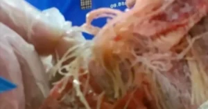 Avatar1769677054992 1769677055500578373744.Webp