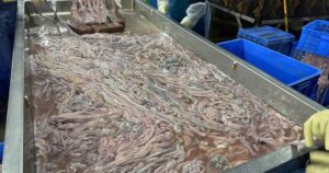 Avatar1769761026479 1769761026817832581167