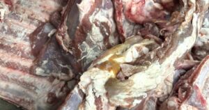 Avatar1769769369548 1769769370301225758332