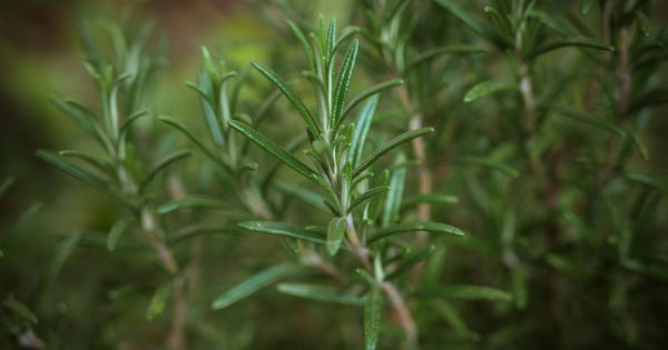 Avatar1769815966981 1769815967479529231655