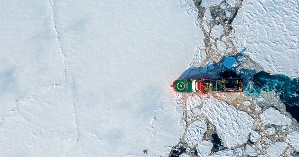 Avatar1769827775195 1769827775745174253486