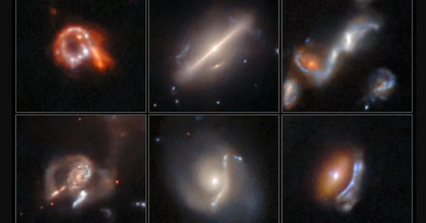 Avatar1769835254012 1769835254279211400921 0 0 314 600 Crop 1769835281789175464500