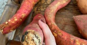 Avatar1769847124227 176984712476588043728