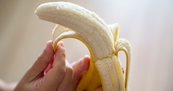 Avatar1769868348962 17698683493741570518333