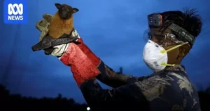 Avatar1769902364927 17699023657611462373993.Webp