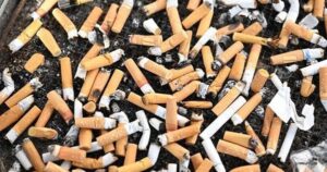 Avatar1769916447560 17699164478941955281753