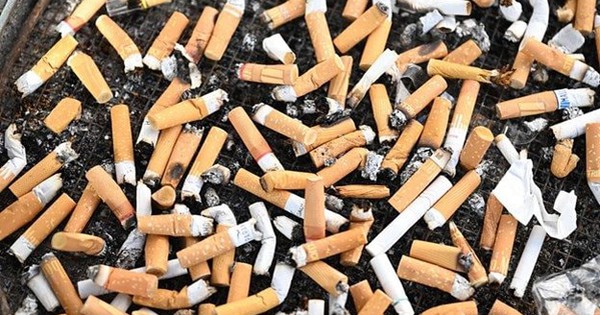 Avatar1769916447560 17699164478941955281753