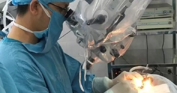 Avatar1769940640589 17699406410302058361733.Webp