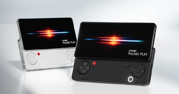 Avatar1769953318193 17699533185091768329770 38 0 601 900 Crop 17699533494271711446519