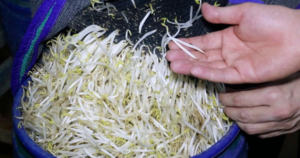 Avatar1770005796727 17700057969561855588821