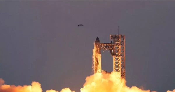 Avatar1770015298583 17700152988901913678706.Webp