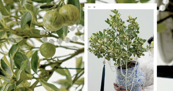 Avatar1770023138062 17700231393321294482965