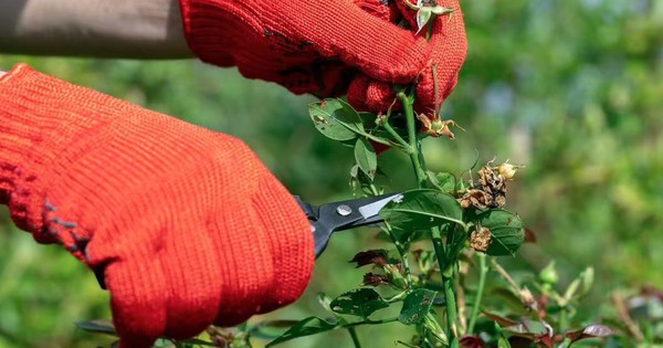 Avatar1770040967483 17700409681401014402670