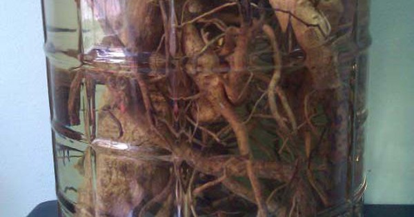 Avatar1770072897825 1770072898327485172672