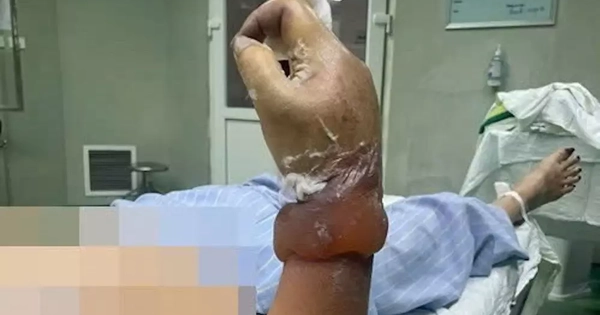 Avatar1770077443981 17700774444031209573858.Webp