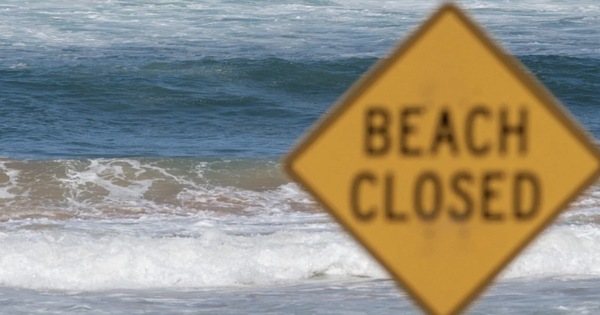 Avatar1770092984981 17700929853021142586841