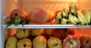 Avatar1770161616747 17701616171821247558342