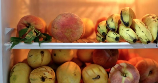 Avatar1770161616747 17701616171821247558342