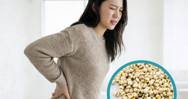 Avatar1770161718847 1770161719105443088349