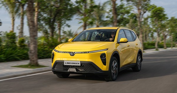 Avatar1770165700863 1770165701308197874801