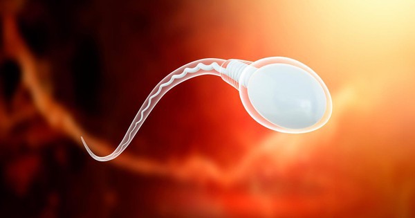 Avatar1770188044241 177018804446721040264