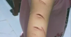 Avatar1770188220951 1770188221218543264509.Webp