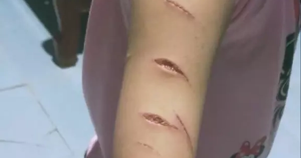 Avatar1770188220951 1770188221218543264509.Webp