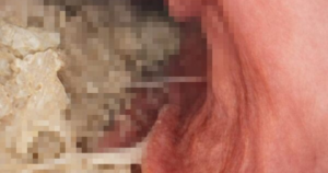 Avatar1770190575998 1770190576338631339038